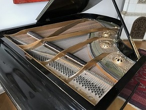 Piano (3)-.jpg