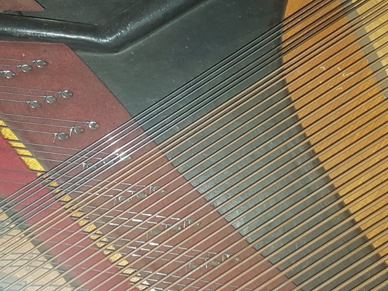 20190906_201204.jpg