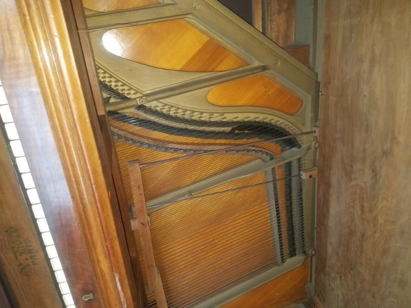 20191005_122432.jpg