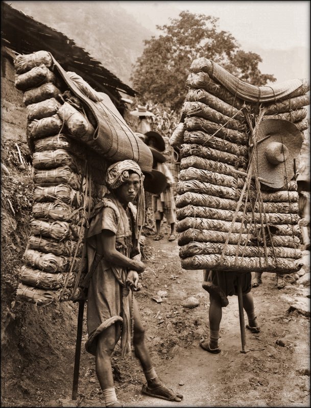 Men_Laden_With_Tea,_Sichuan_Sheng,_China_1908_Ernest_H._Wilson_RESTORED.jpg