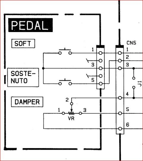 pedaleCLP560.JPG