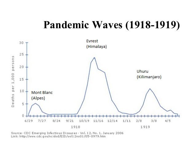 Pandémie 19.jpg