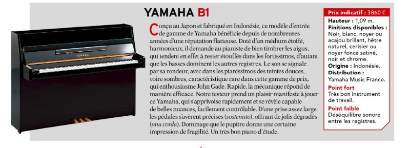 Yamaha B1.jpg