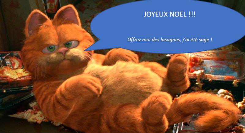 joyeux noel.png