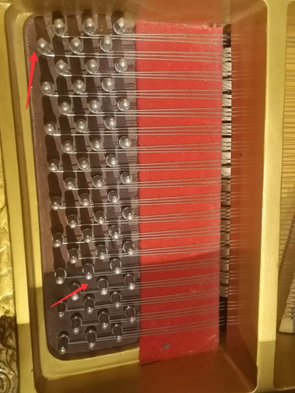326684239_587669580069869_3703472079131460223_n.jpg