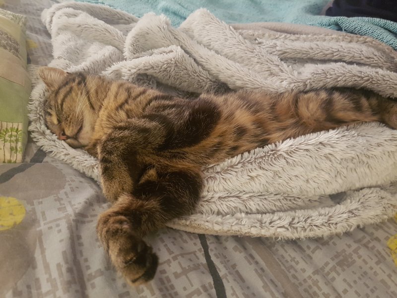 20230413_014940.jpg