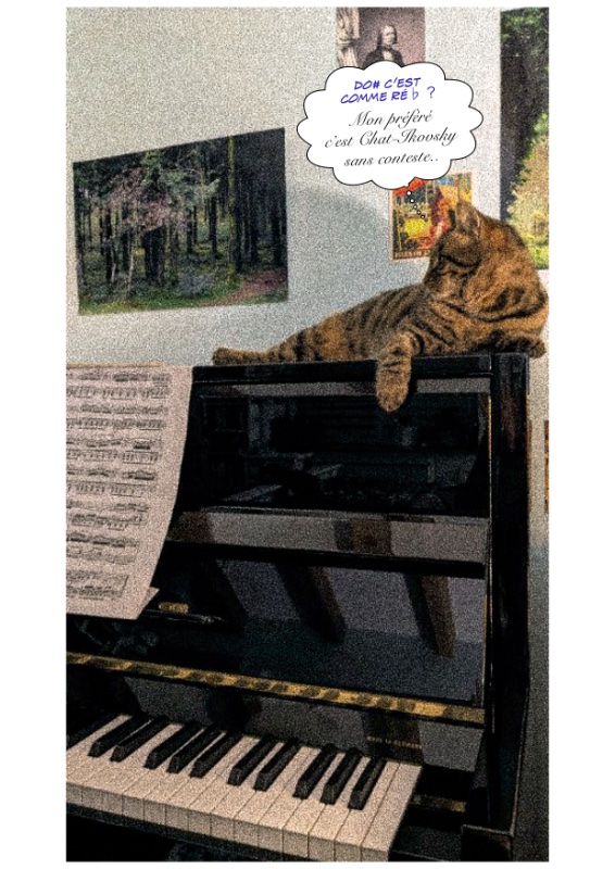 Annonce-Chat-Piano.jpg