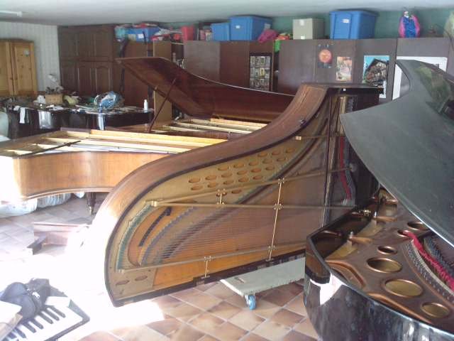 pleyel  319.JPG