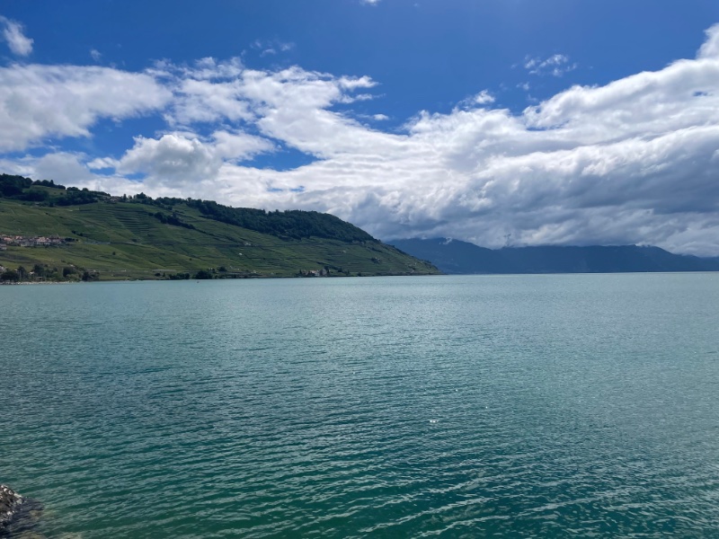 91D72D18-268C-4B10-80AA-5E5F298DEE00.jpeg