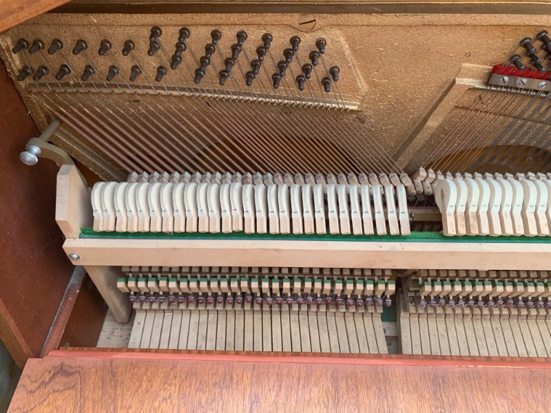 bad6dbfa-5030-11ef-aa97-e35933bb205b.jpg