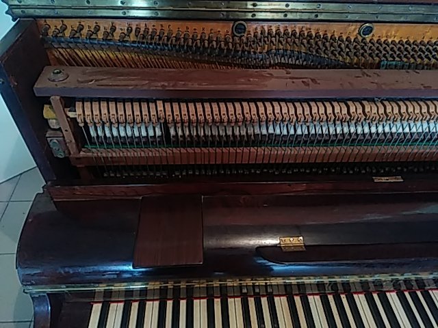 1bbc6ec6-5408-11ef-912c-993093f2aab4.jpg
