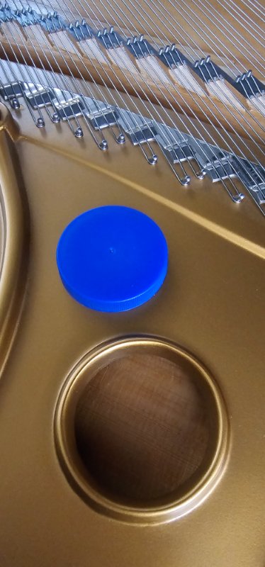 20240822_111950.jpg