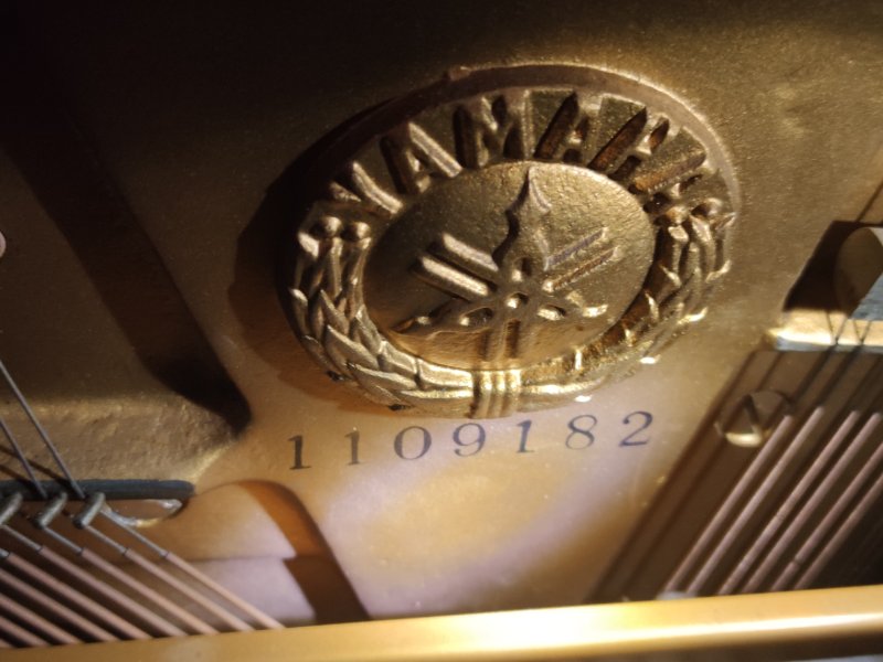 1727933454575.jpg