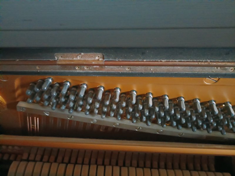 IMG20241020150247.jpg