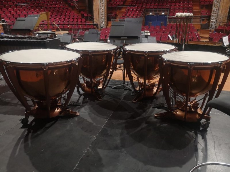 timbales 1.jpg