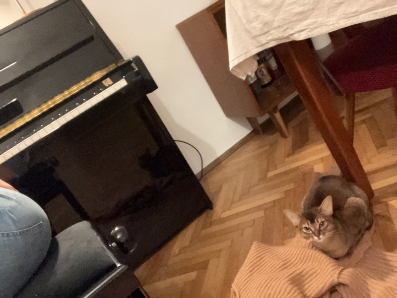 C7C5C800-0294-46DE-A90A-9D3486EB2C02.jpeg