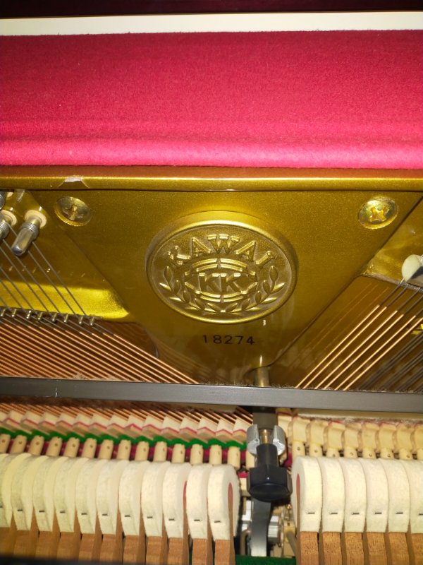 IMG20241128160021.jpg