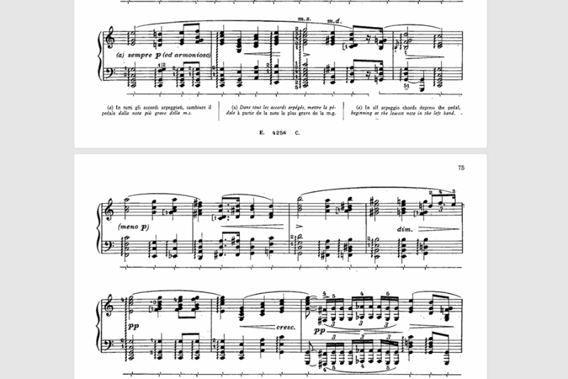 chopin 1.png
