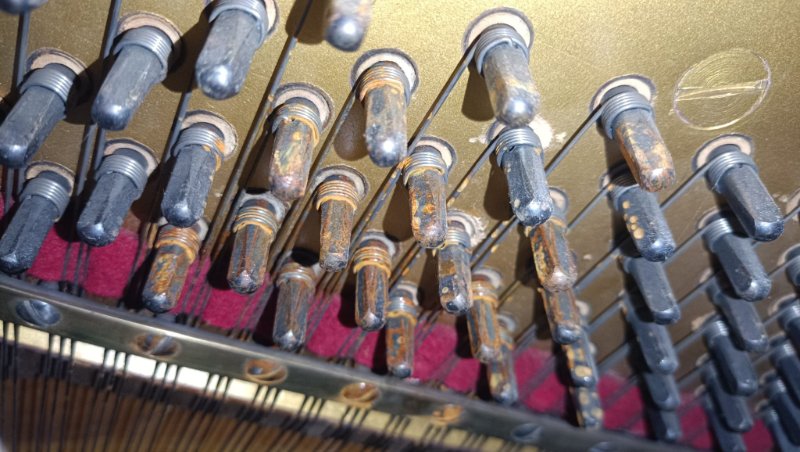 WhatsApp Image 2025-11-04 at 20.58.50(1).jpeg