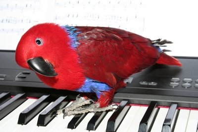 C081209B 006 - Copie.jpg