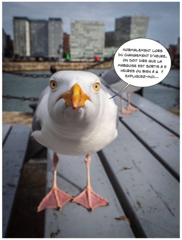 Goeland_changement_Heure BD.jpg