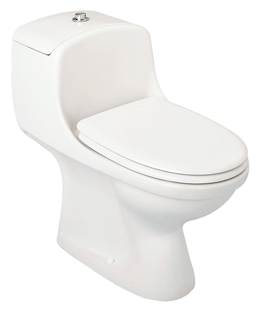 wc%20monobloc.gif