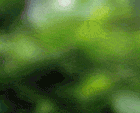 effet d'optique.gif