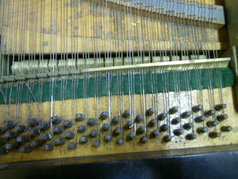 DSCI1249.JPG