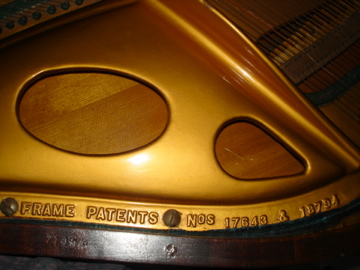 DSC05806.jpg
