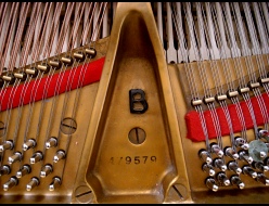 Steinway_modelB_inpage4.jpg