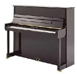 bechstein 124.JPG