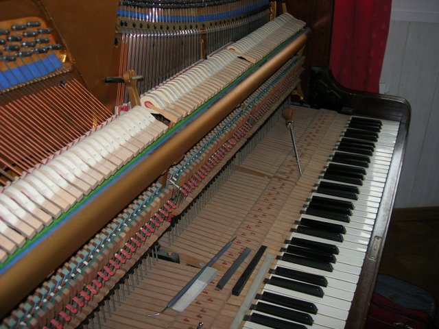 DSCN0380.JPG