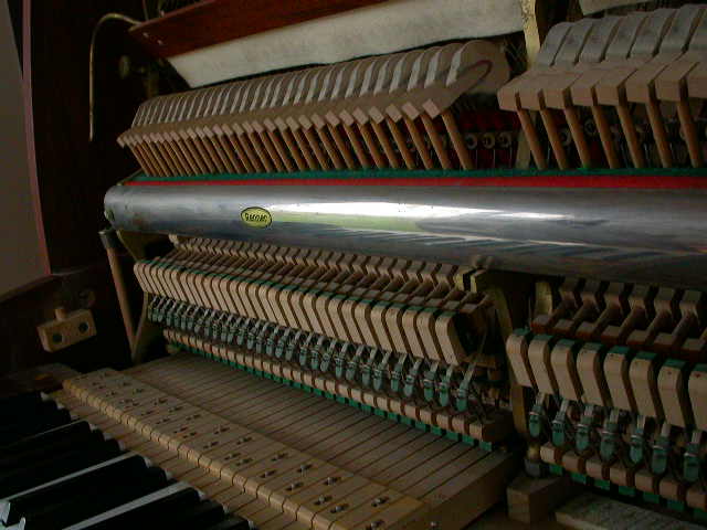 DSCN8549.JPG
