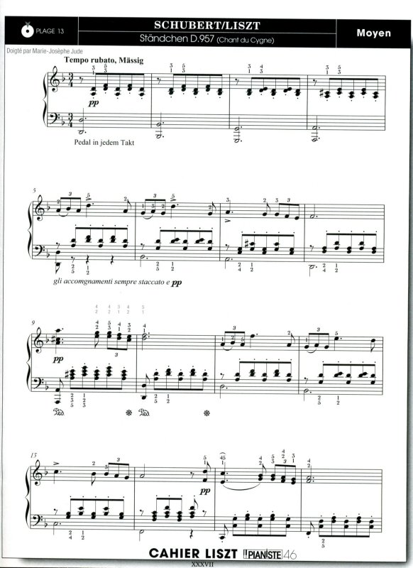 pianiste 46m - Transcription Liszt - 37.jpg