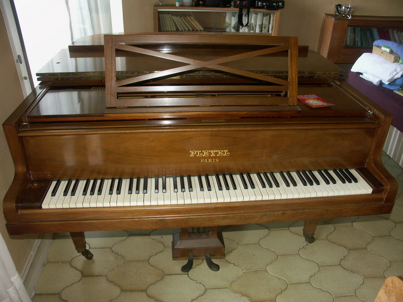 PICT5486.JPG