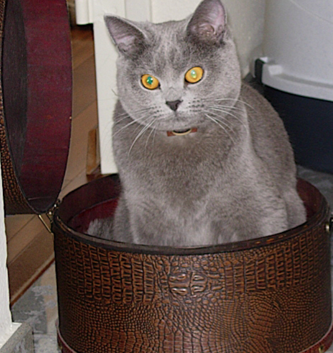 Photo claude06.jpg
