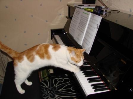 Canel au piano