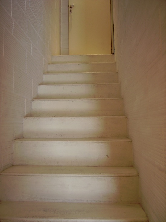 IMGP3021.JPG