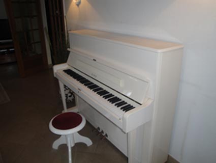 petrof118Dijon.JPG