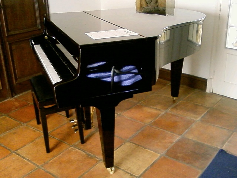 P10-11-11_14.30.jpg