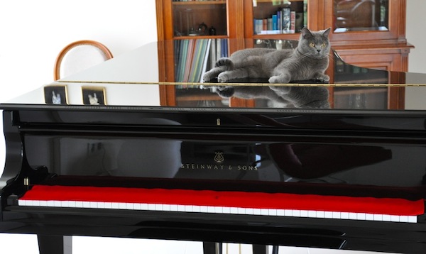 erzy piano.jpg