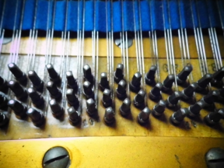 DSCI0810.JPG