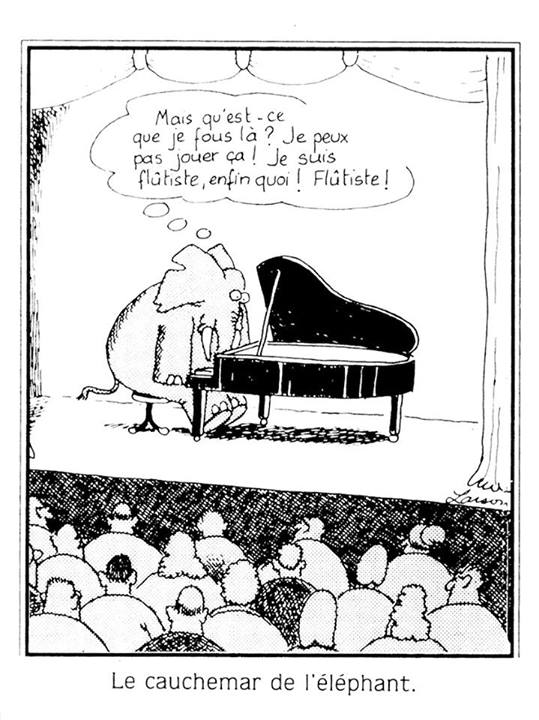 éléphant.jpg