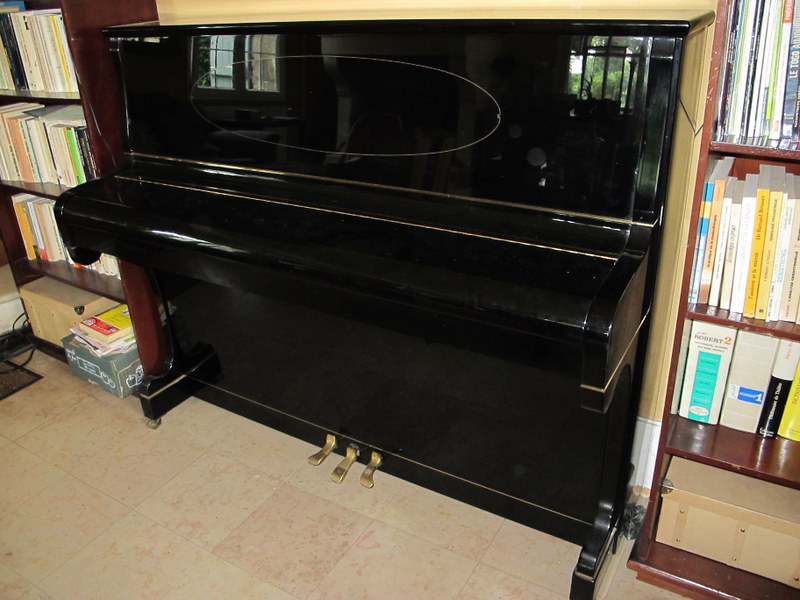 Pleyel Schimmel duo system