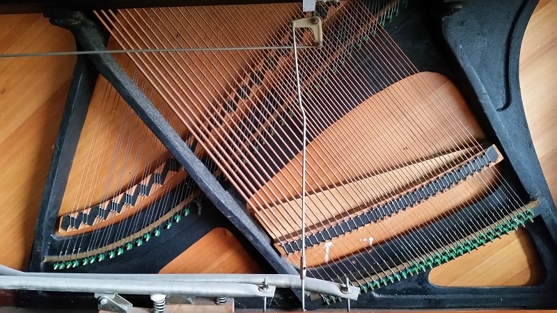 20151028_152811.jpg