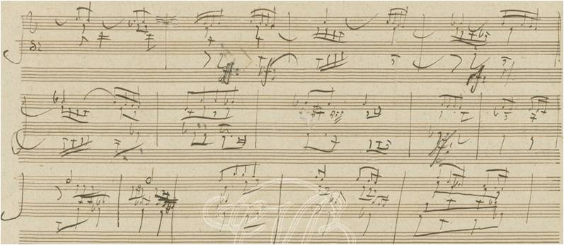 opus101_2.jpg