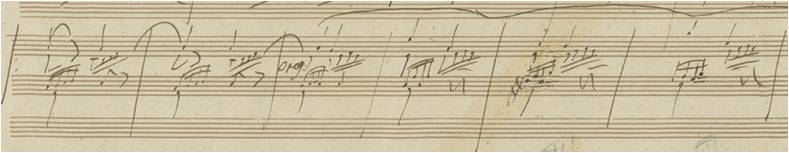 opus101_3.jpg